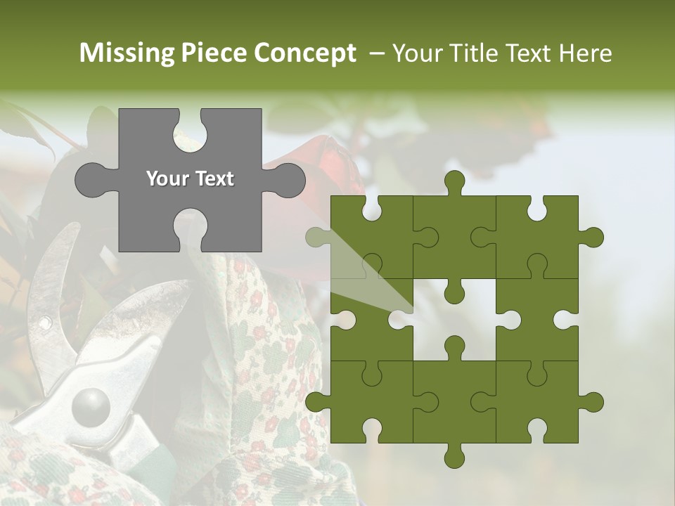 Rose Prune Red PowerPoint Template