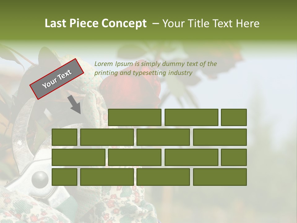 Rose Prune Red PowerPoint Template