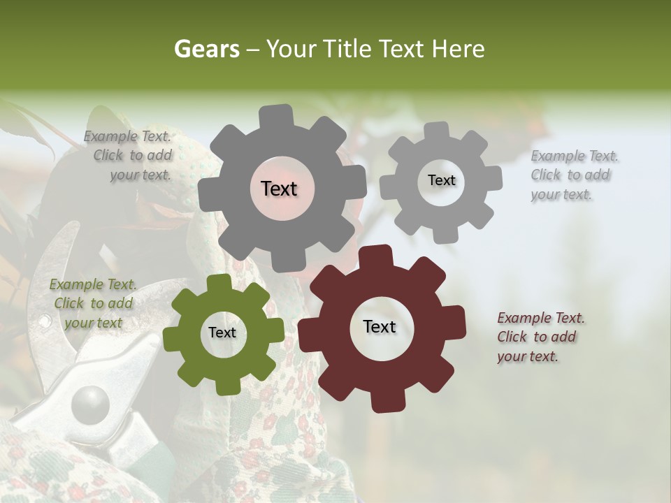 Rose Prune Red PowerPoint Template