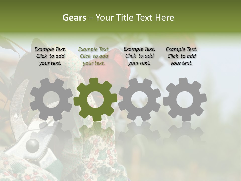 Rose Prune Red PowerPoint Template