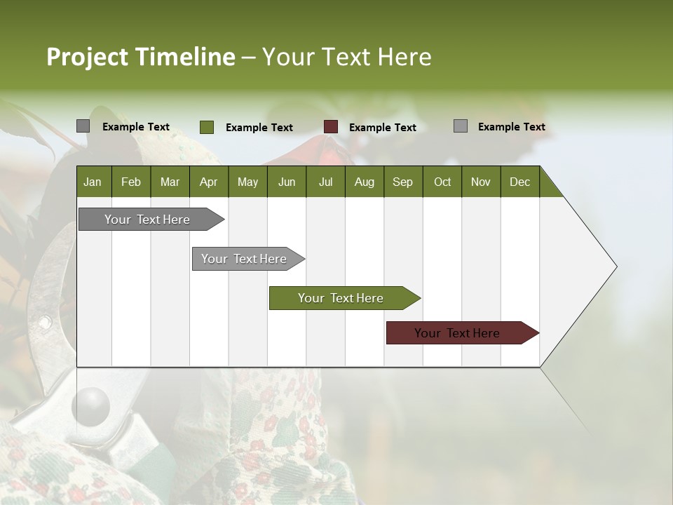 Rose Prune Red PowerPoint Template