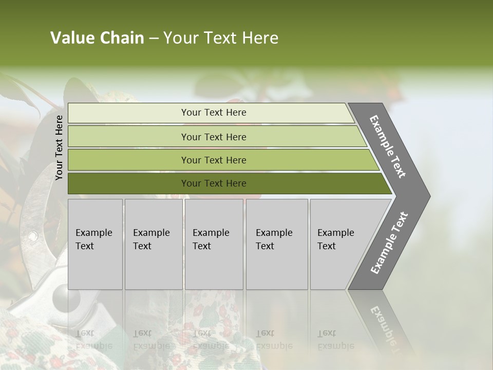 Rose Prune Red PowerPoint Template