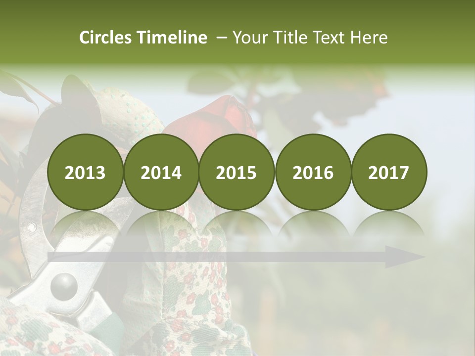 Rose Prune Red PowerPoint Template