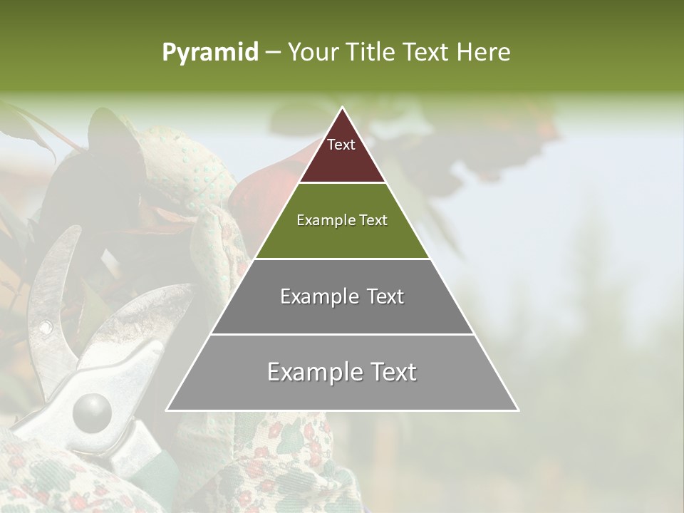 Rose Prune Red PowerPoint Template