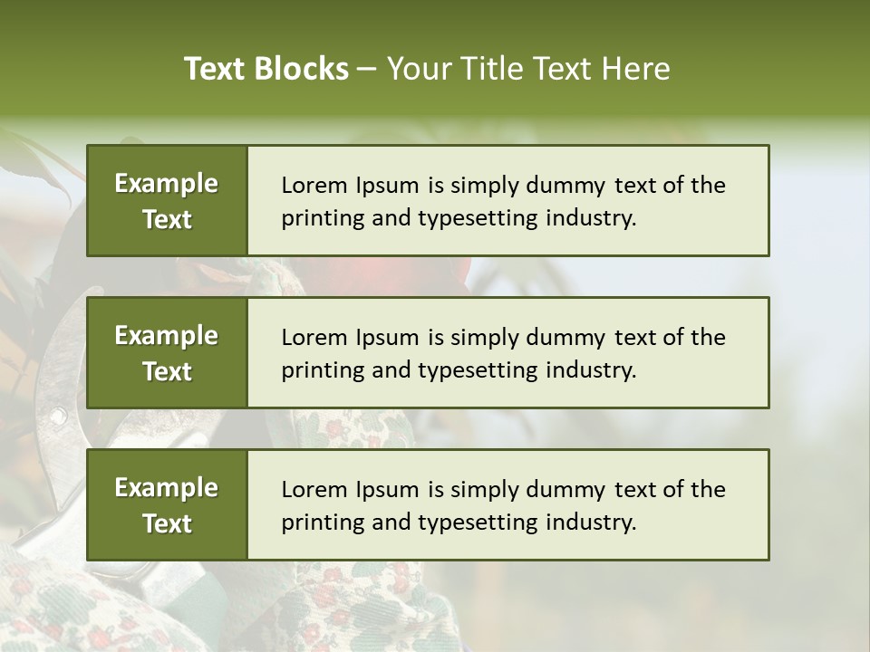 Rose Prune Red PowerPoint Template