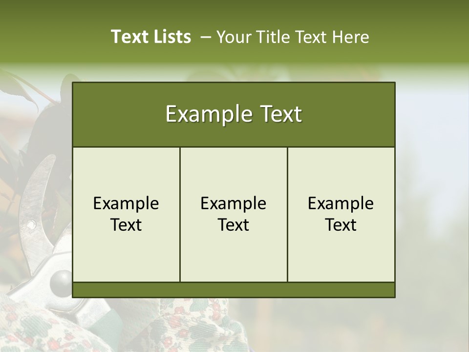 Rose Prune Red PowerPoint Template