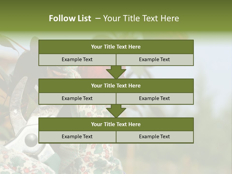 Rose Prune Red PowerPoint Template
