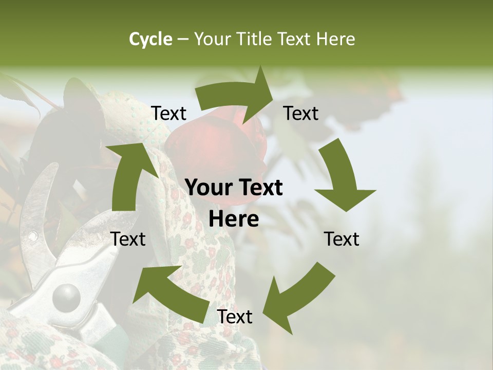 Rose Prune Red PowerPoint Template