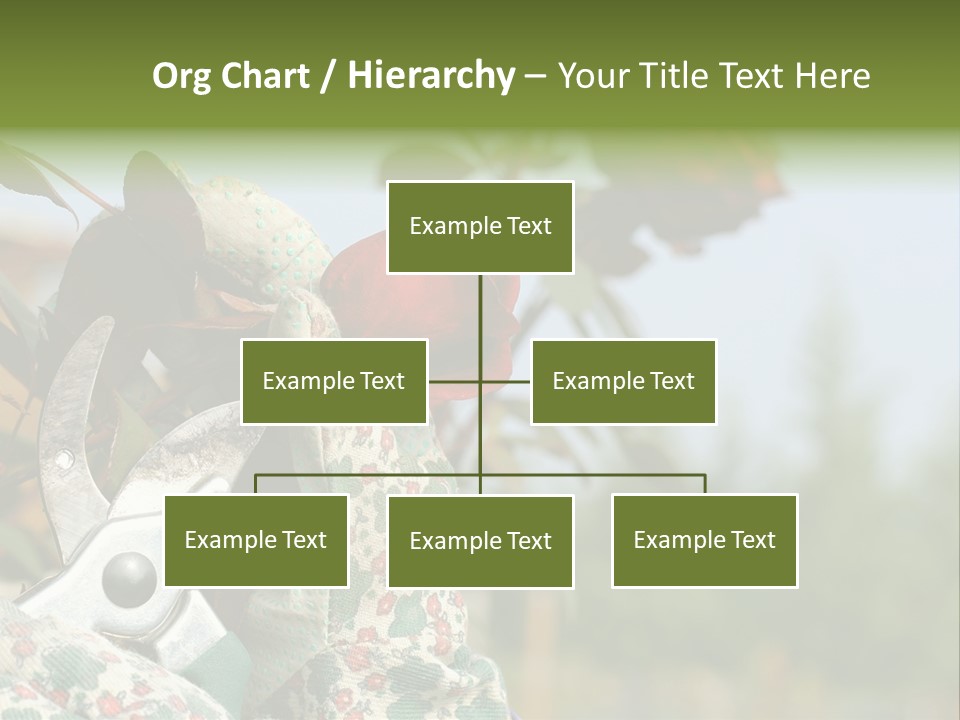 Rose Prune Red PowerPoint Template