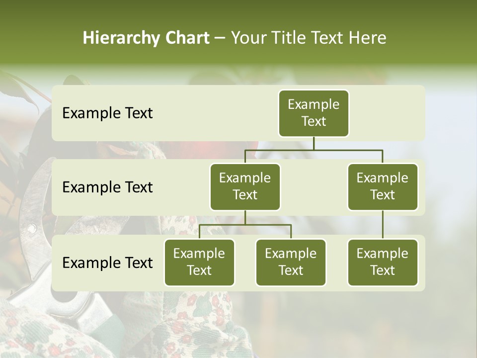 Rose Prune Red PowerPoint Template