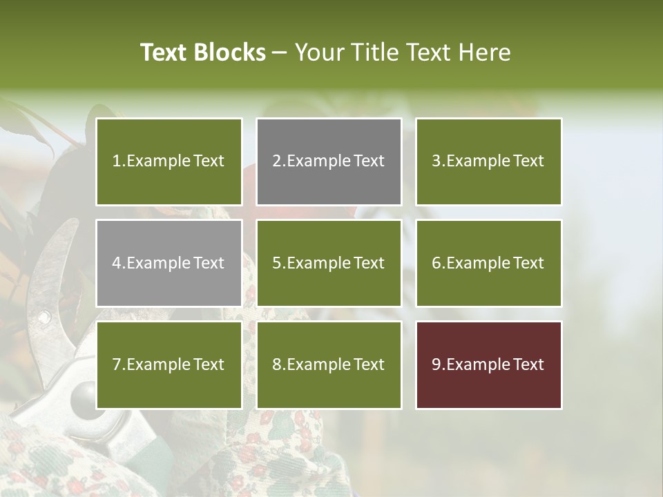 Rose Prune Red PowerPoint Template