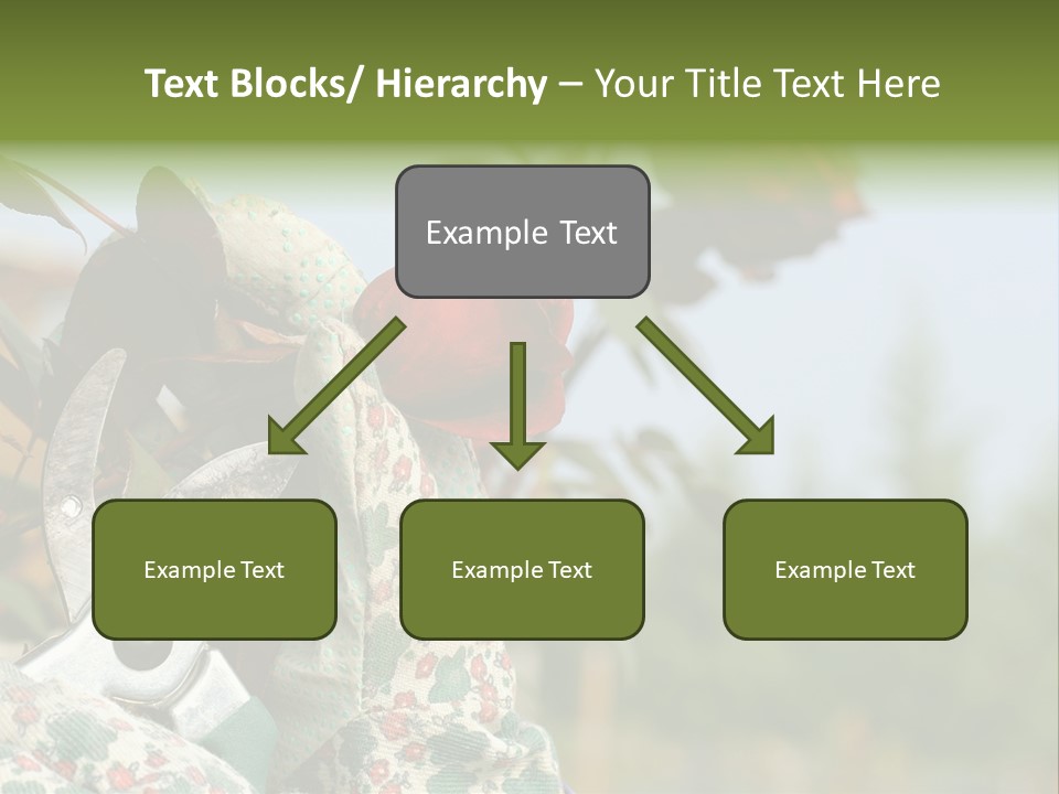 Rose Prune Red PowerPoint Template