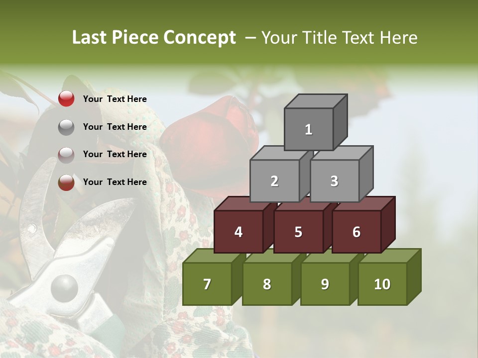 Rose Prune Red PowerPoint Template
