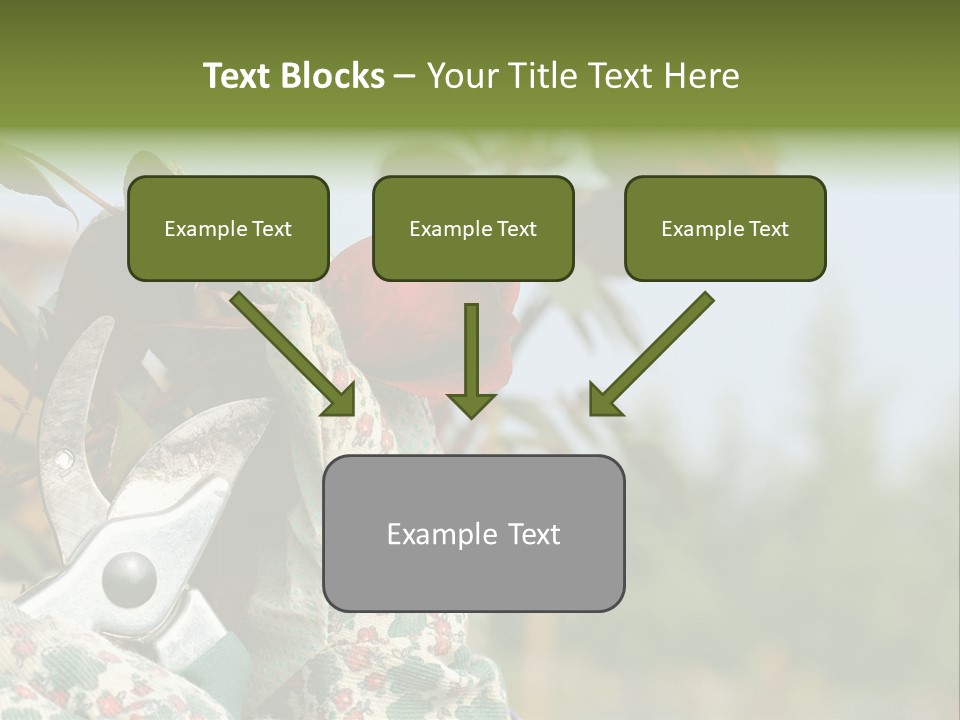 Rose Prune Red PowerPoint Template