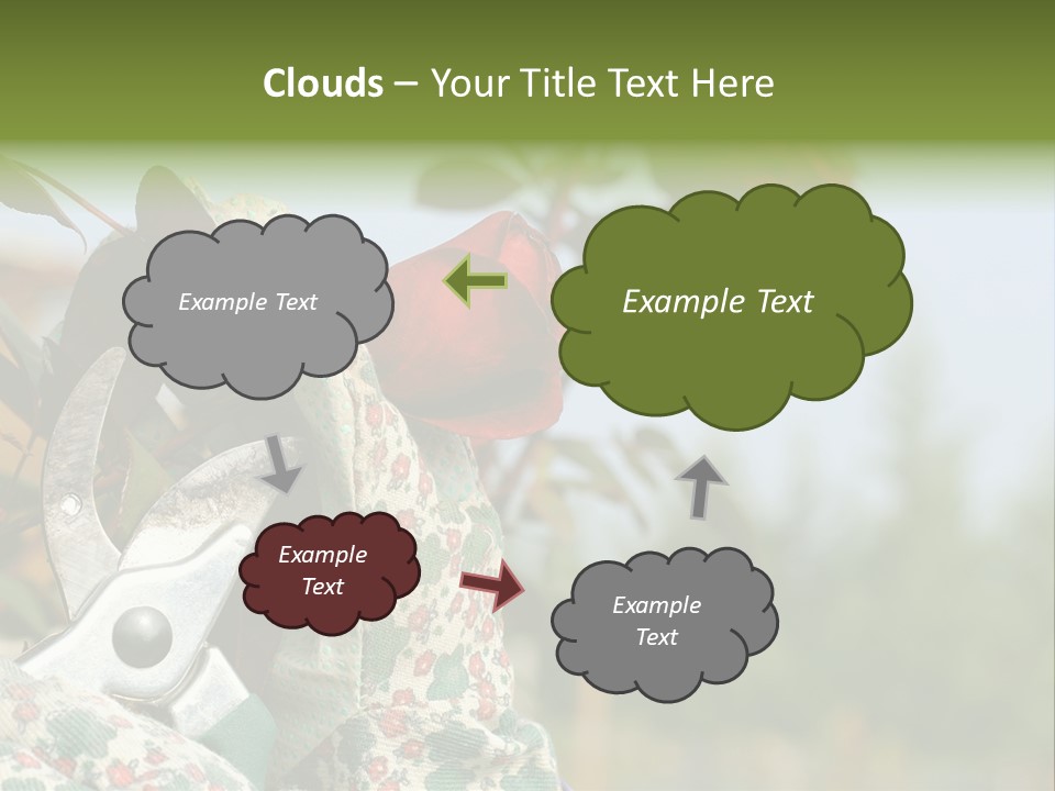 Rose Prune Red PowerPoint Template