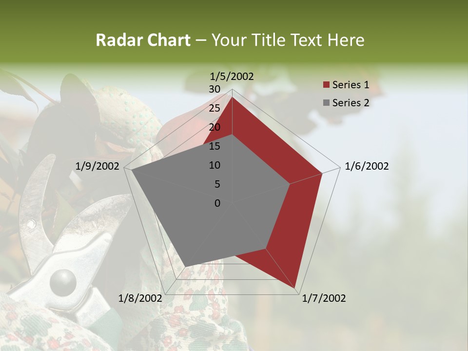 Rose Prune Red PowerPoint Template