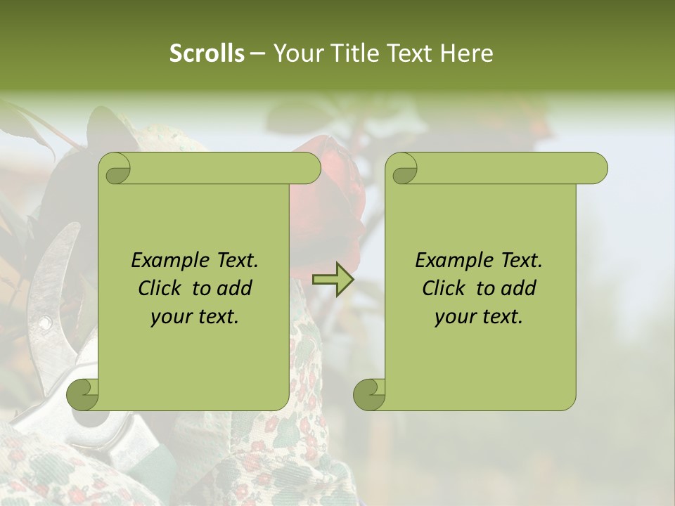 Rose Prune Red PowerPoint Template