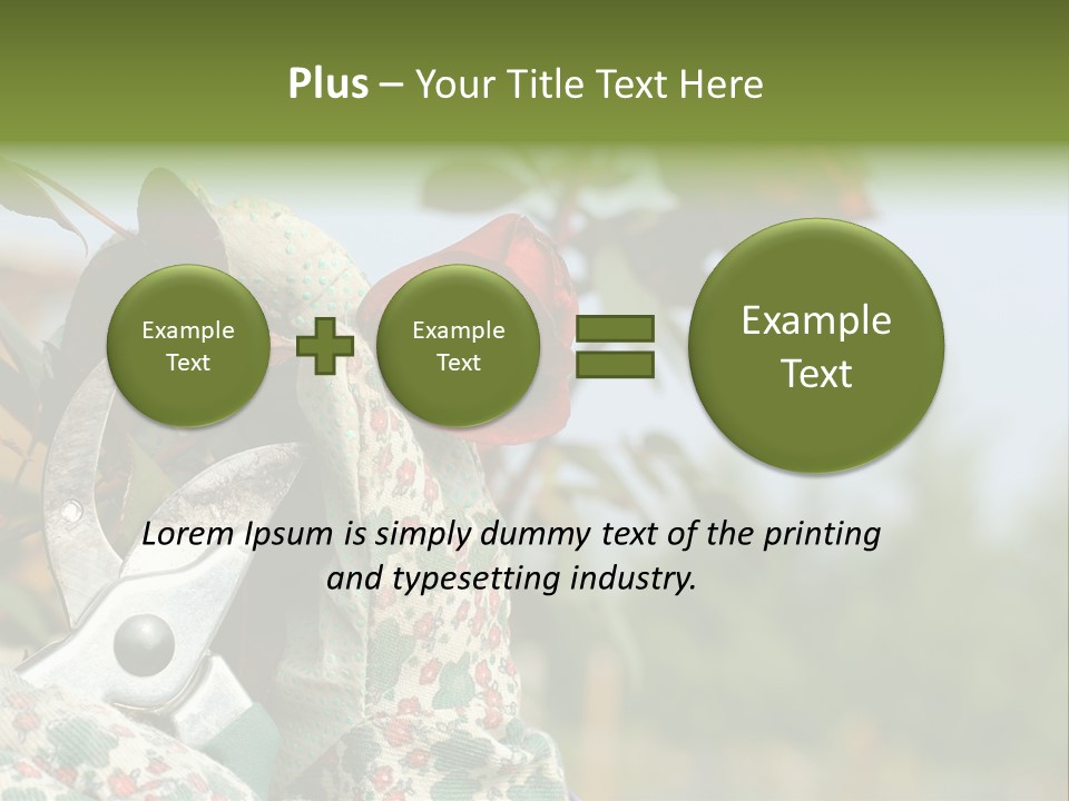 Rose Prune Red PowerPoint Template