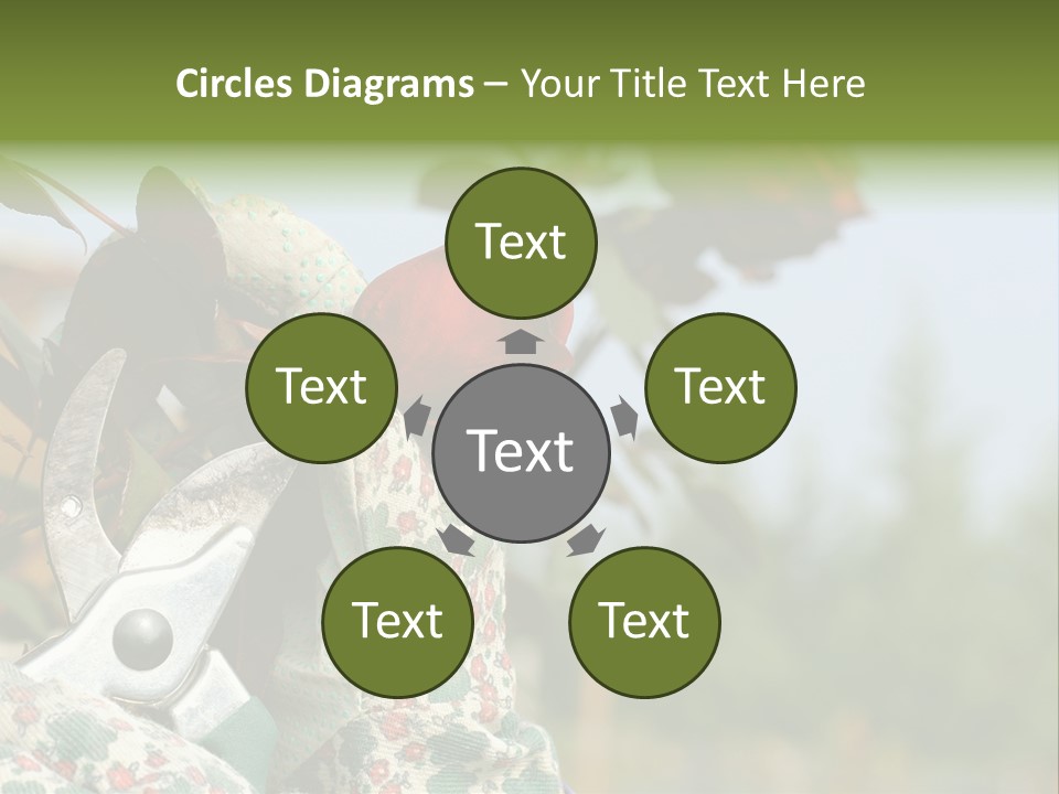 Rose Prune Red PowerPoint Template