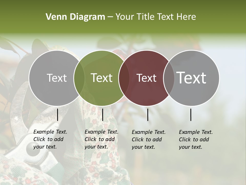 Rose Prune Red PowerPoint Template