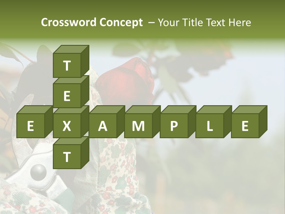 Rose Prune Red PowerPoint Template