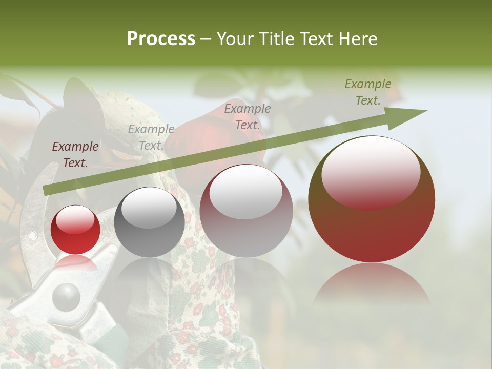 Rose Prune Red PowerPoint Template