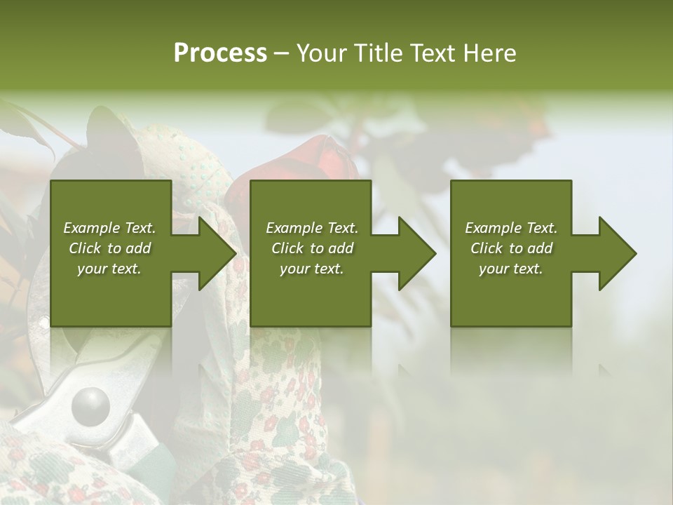 Rose Prune Red PowerPoint Template
