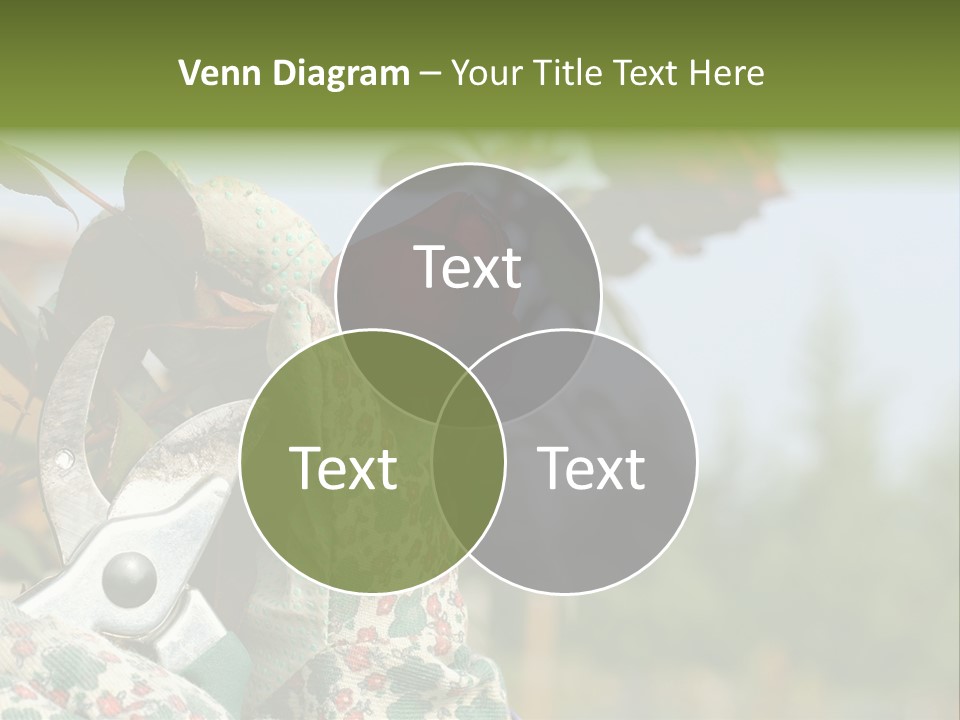 Rose Prune Red PowerPoint Template