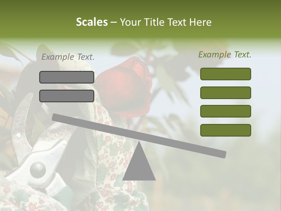 Rose Prune Red PowerPoint Template