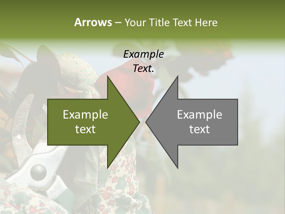 Rose Prune Red PowerPoint Template