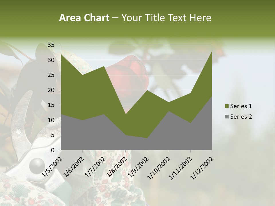 Rose Prune Red PowerPoint Template