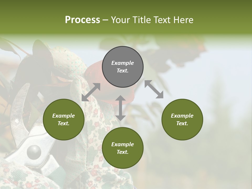 Rose Prune Red PowerPoint Template