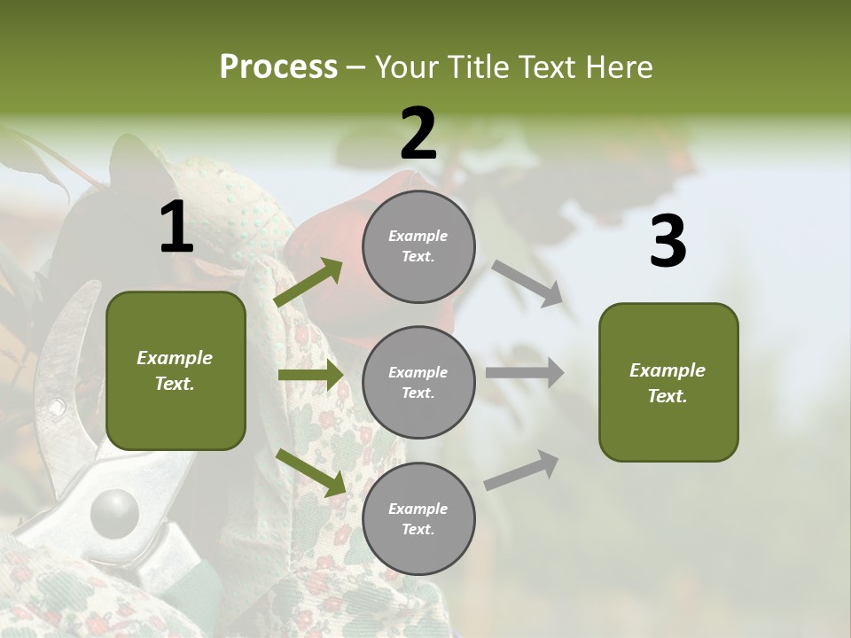 Rose Prune Red PowerPoint Template