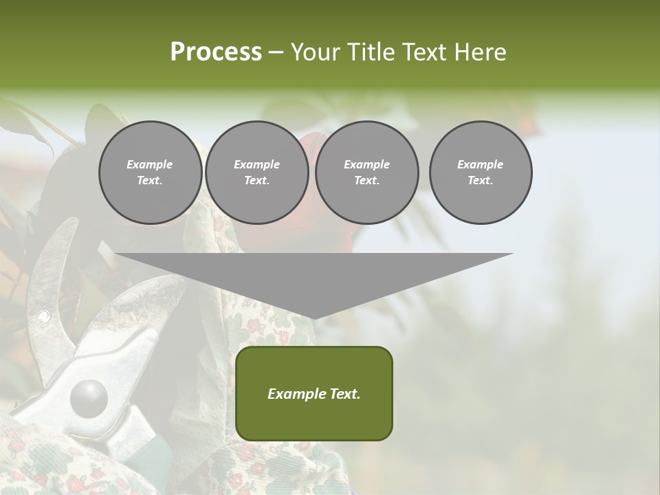 Rose Prune Red PowerPoint Template
