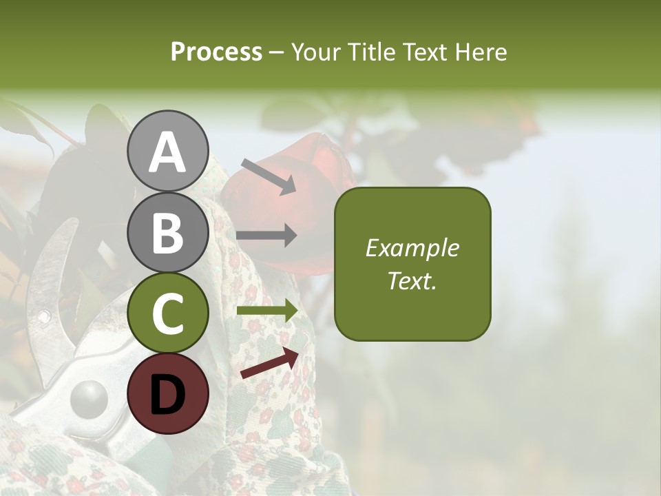 Rose Prune Red PowerPoint Template