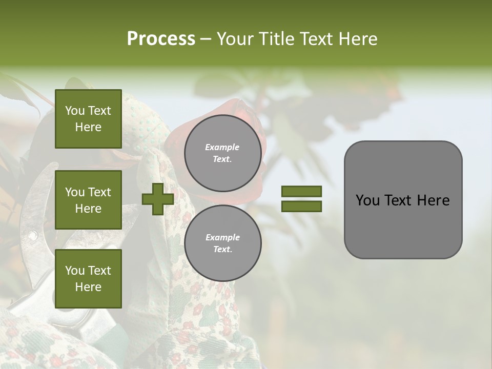 Rose Prune Red PowerPoint Template