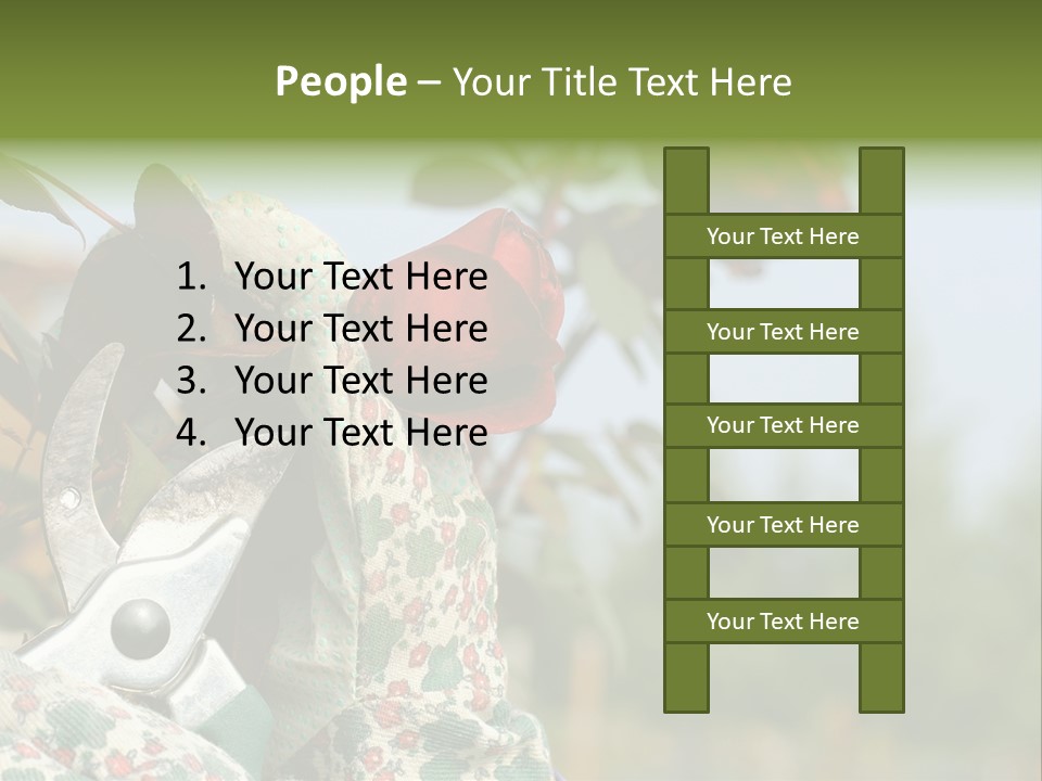 Rose Prune Red PowerPoint Template