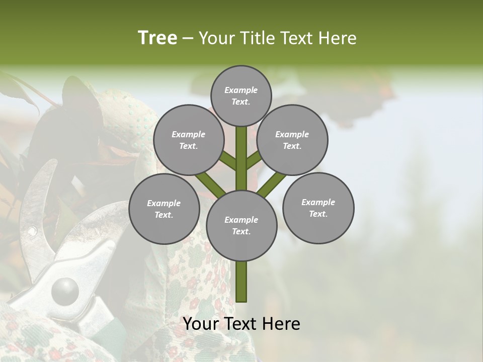 Rose Prune Red PowerPoint Template