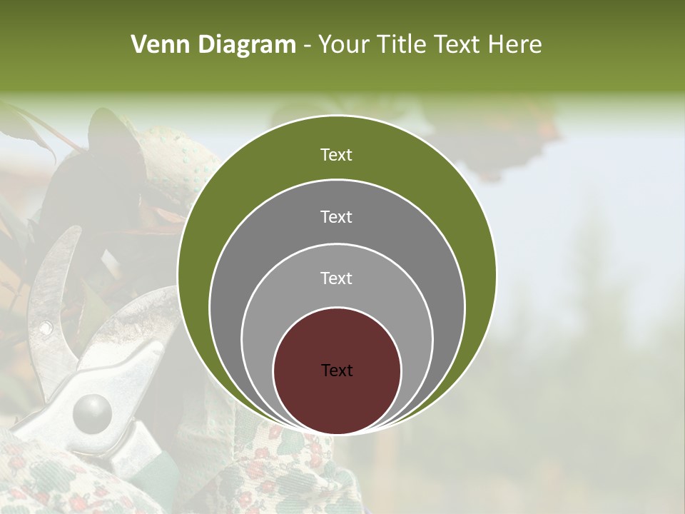 Rose Prune Red PowerPoint Template