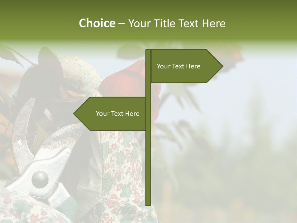 Rose Prune Red PowerPoint Template