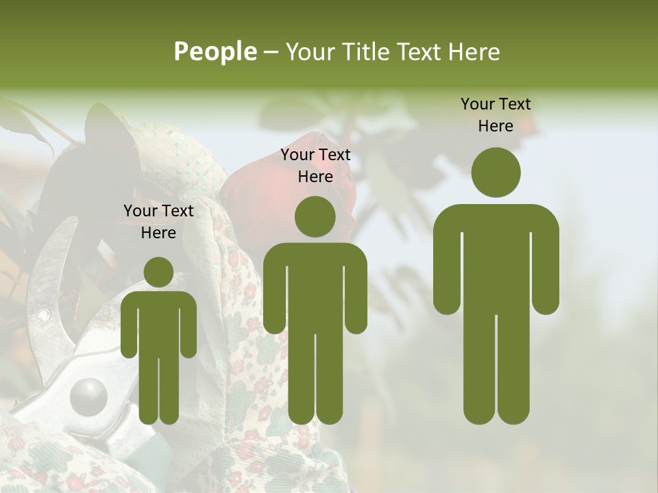 Rose Prune Red PowerPoint Template