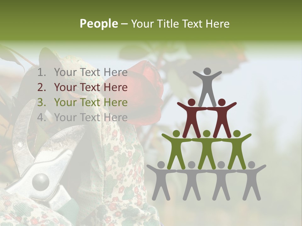 Rose Prune Red PowerPoint Template