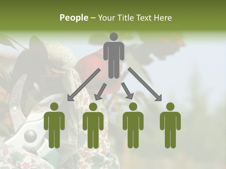 Rose Prune Red PowerPoint Template