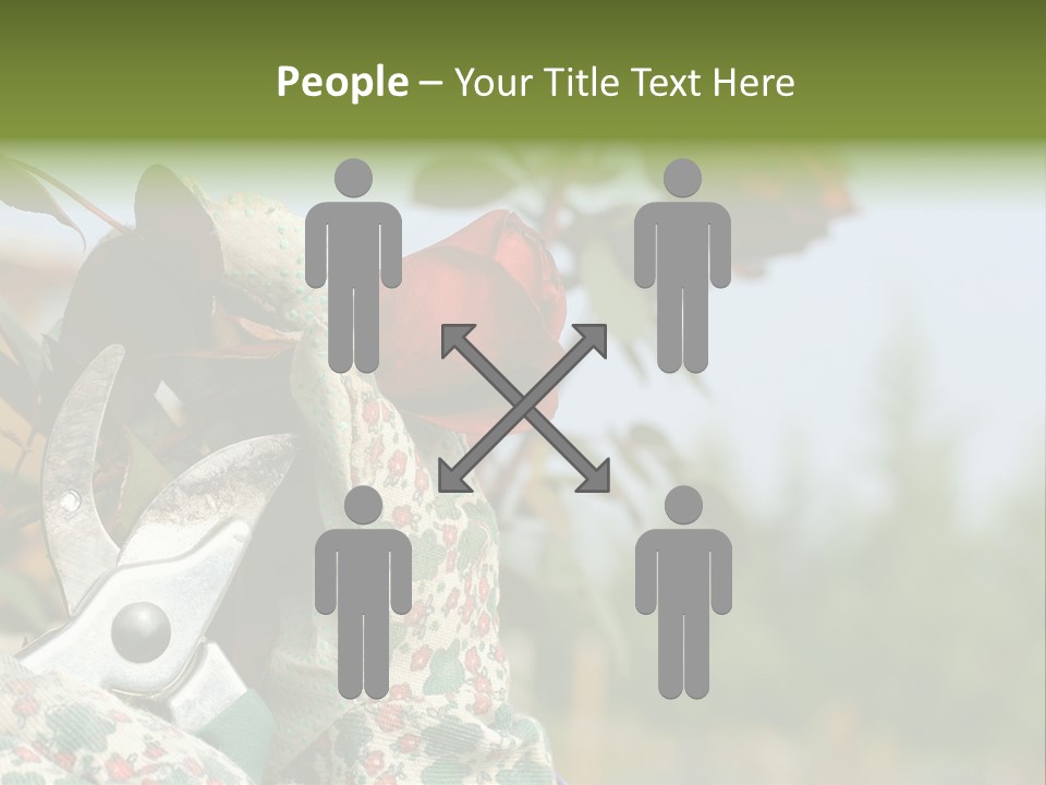 Rose Prune Red PowerPoint Template