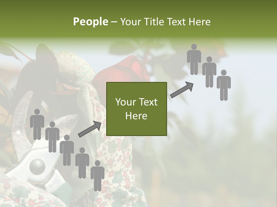 Rose Prune Red PowerPoint Template