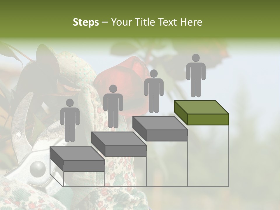 Rose Prune Red PowerPoint Template