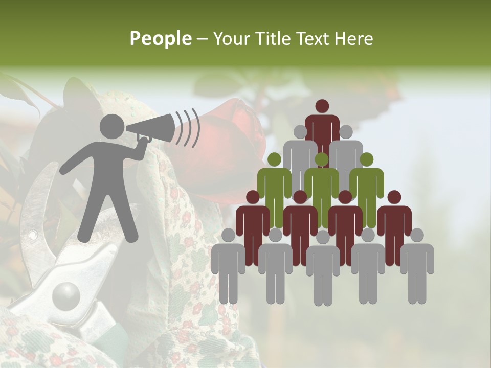 Rose Prune Red PowerPoint Template