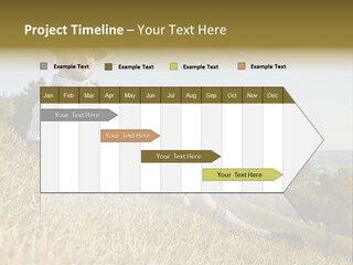 Fresh Munich Nature PowerPoint Template