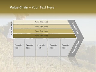 Fresh Munich Nature PowerPoint Template