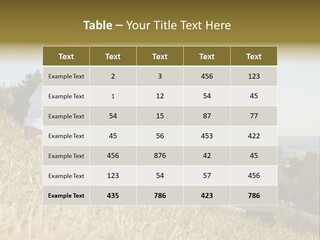 Fresh Munich Nature PowerPoint Template